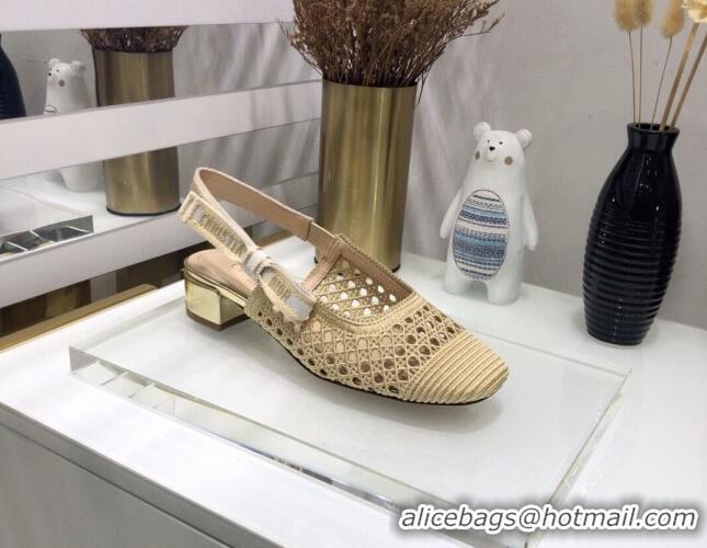 Charming Dior x Moi Slingback Pumps 3.5cm in Gold Cannage Embroidered Mesh 042721