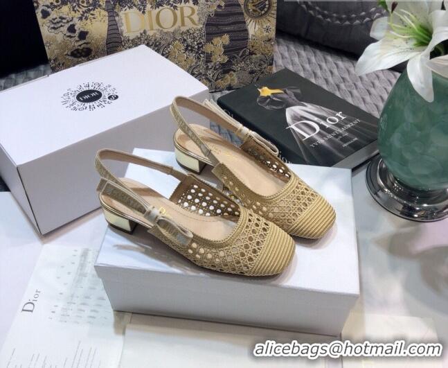 Charming Dior x Moi Slingback Pumps 3.5cm in Gold Cannage Embroidered Mesh 042721