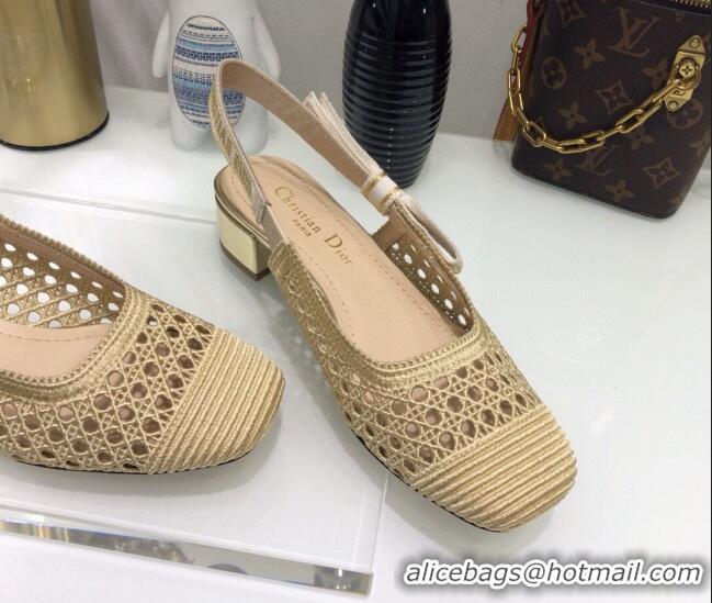 Charming Dior x Moi Slingback Pumps 3.5cm in Gold Cannage Embroidered Mesh 042721