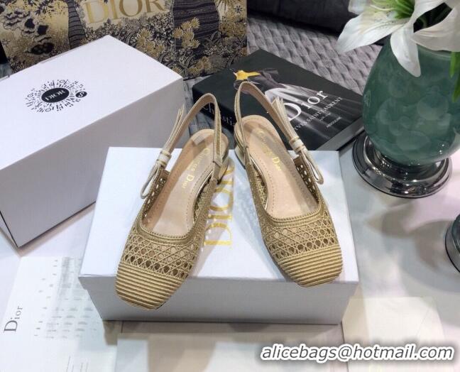 Charming Dior x Moi Slingback Pumps 3.5cm in Gold Cannage Embroidered Mesh 042721