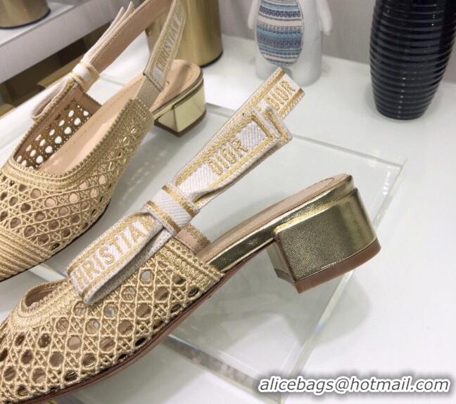 Charming Dior x Moi Slingback Pumps 3.5cm in Gold Cannage Embroidered Mesh 042721