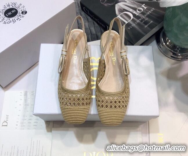 Good Quality Dior x Moi Slingback Ballerinas Flats in Gold Cannage Embroidered Mesh 042721