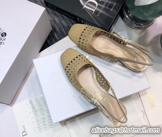 Good Quality Dior x Moi Slingback Ballerinas Flats in Gold Cannage Embroidered Mesh 042721