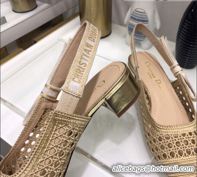 Good Quality Dior x Moi Slingback Ballerinas Flats in Gold Cannage Embroidered Mesh 042721