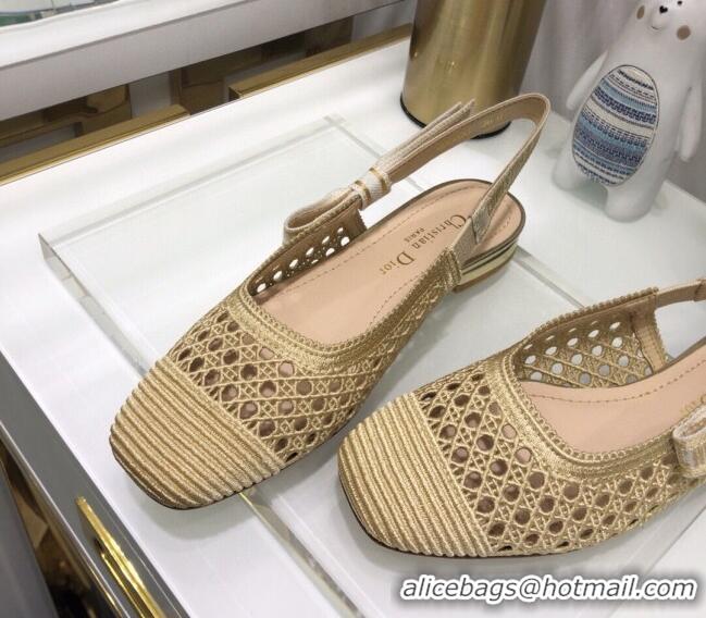 Good Quality Dior x Moi Slingback Ballerinas Flats in Gold Cannage Embroidered Mesh 042721