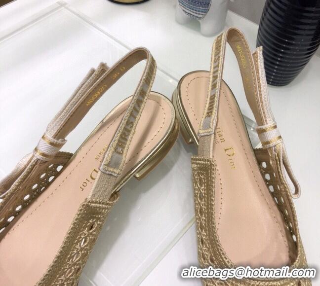 Good Quality Dior x Moi Slingback Ballerinas Flats in Gold Cannage Embroidered Mesh 042721