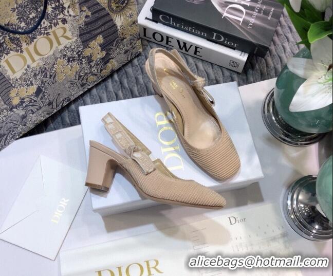 Good Looking Dior x Moi Slingback Pumps 6.5cm in Nude Ribbon Embroidered Cotton 042724