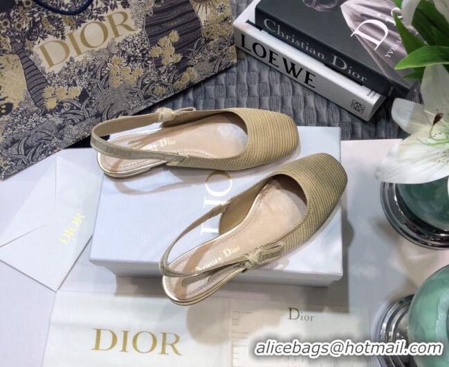 Affordable Price Dior x Moi Slingback Ballerinas Flats in Nude Ribbon Embroidered Cotton 042724