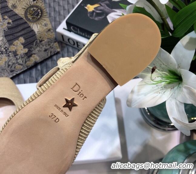 Affordable Price Dior x Moi Slingback Ballerinas Flats in Nude Ribbon Embroidered Cotton 042724