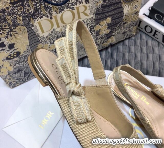 Affordable Price Dior x Moi Slingback Ballerinas Flats in Nude Ribbon Embroidered Cotton 042724