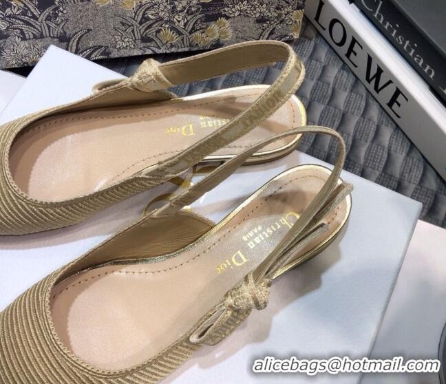 Affordable Price Dior x Moi Slingback Ballerinas Flats in Nude Ribbon Embroidered Cotton 042724