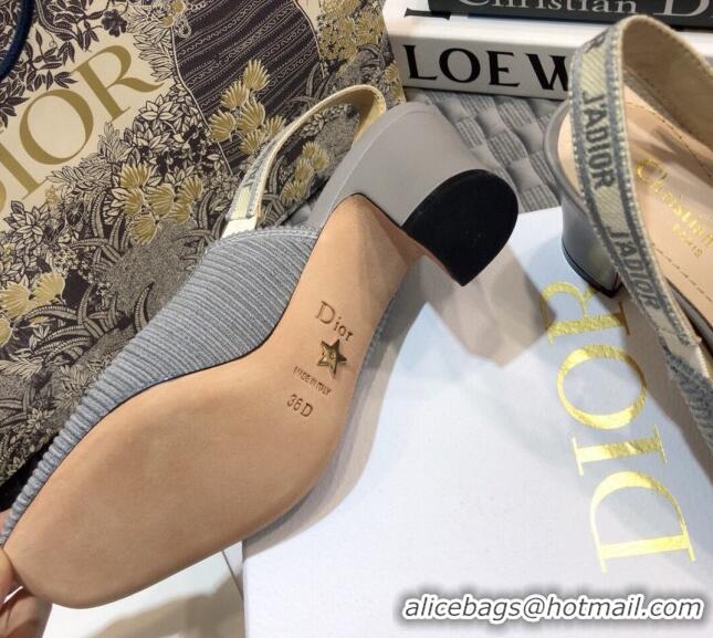 Stylish Dior x Moi Slingback Pumps 6.5cm in Grey Ribbon Embroidered Cotton 042733