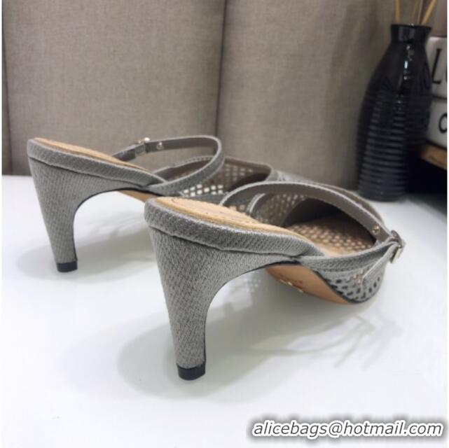 Top Quality Dior D-Choc Heel Mules in Grey Mesh Embroidery 042746