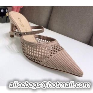 Popular Dior D-Choc Heel Mules in Nude Mesh Embroidery 042747