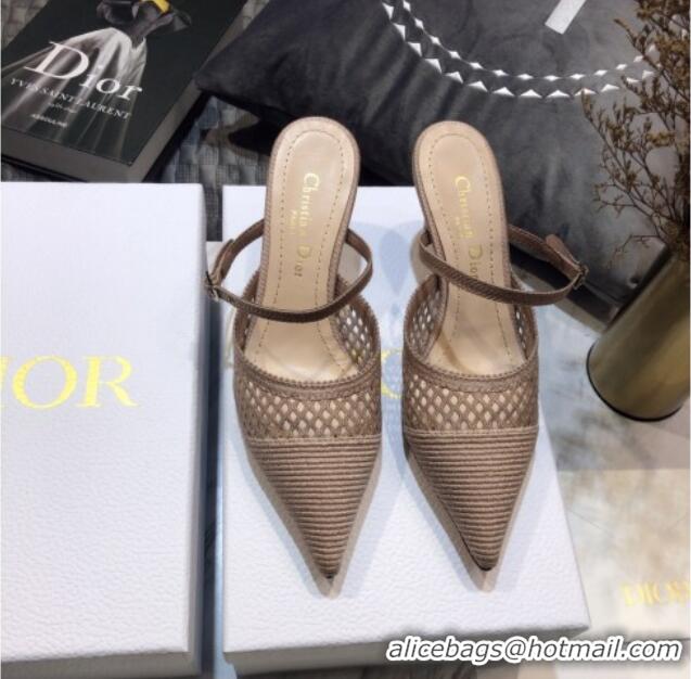 Popular Dior D-Choc Heel Mules in Nude Mesh Embroidery 042747