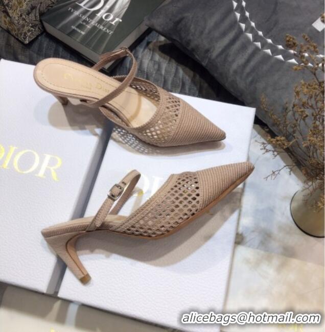 Popular Dior D-Choc Heel Mules in Nude Mesh Embroidery 042747