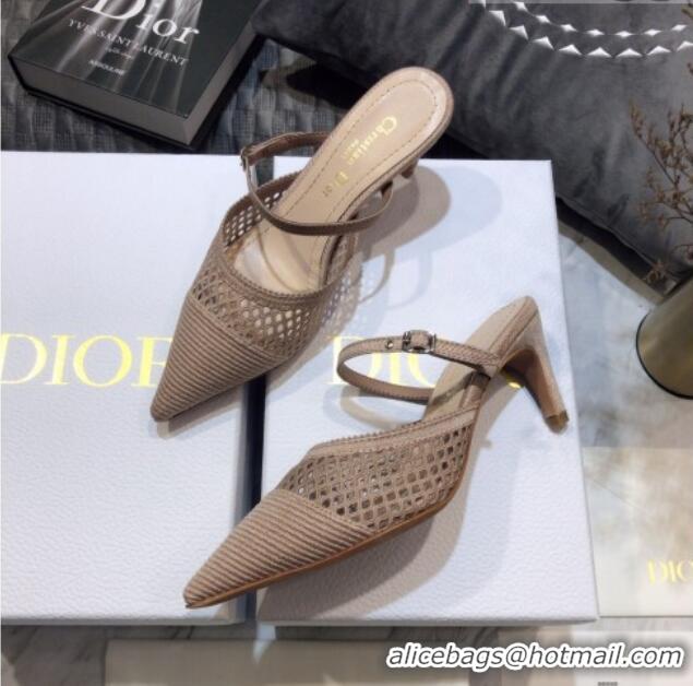 Popular Dior D-Choc Heel Mules in Nude Mesh Embroidery 042747