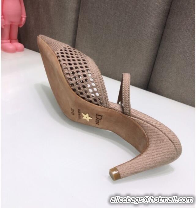 Popular Dior D-Choc Heel Mules in Nude Mesh Embroidery 042747