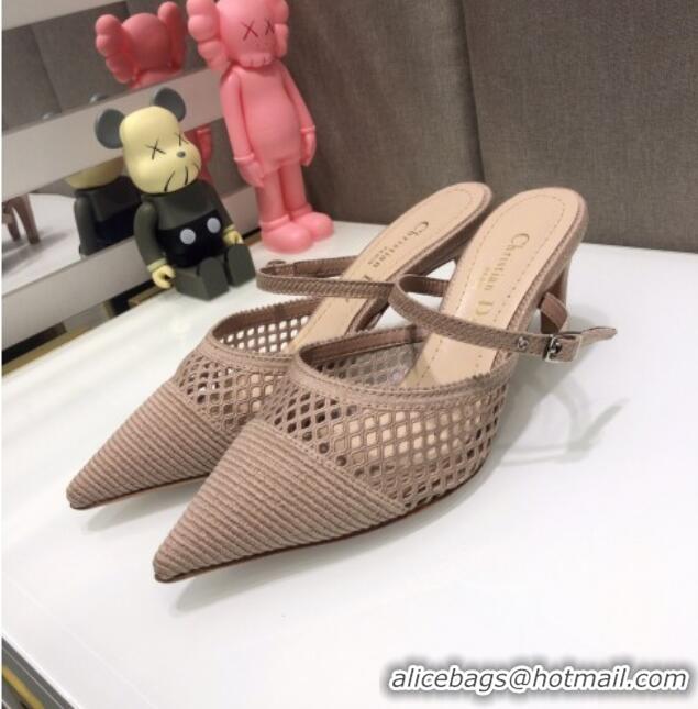 Popular Dior D-Choc Heel Mules in Nude Mesh Embroidery 042747