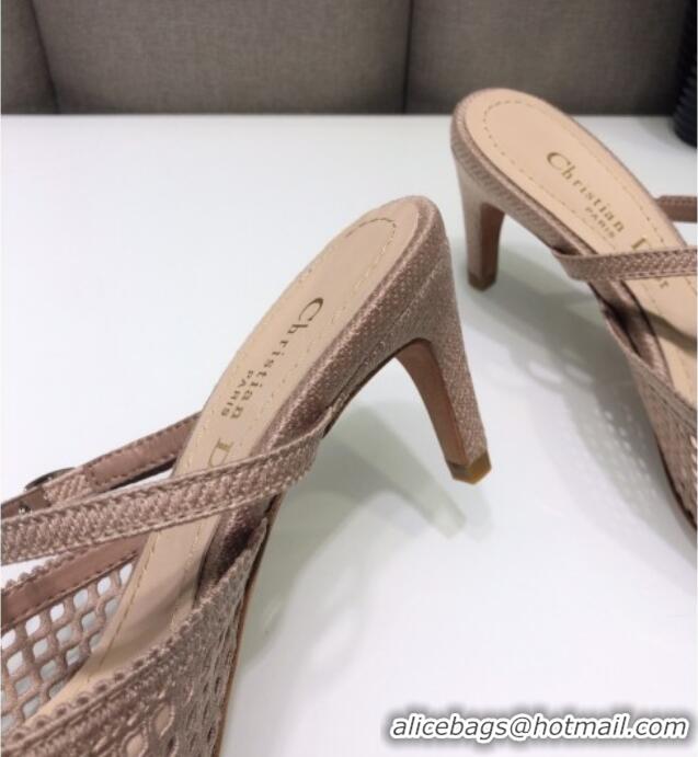 Popular Dior D-Choc Heel Mules in Nude Mesh Embroidery 042747