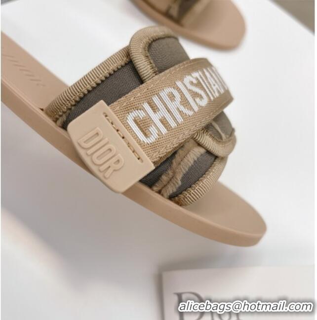 Best Luxury Dior Dio(r)evolution Flat Slide Sandals 050621 Beige