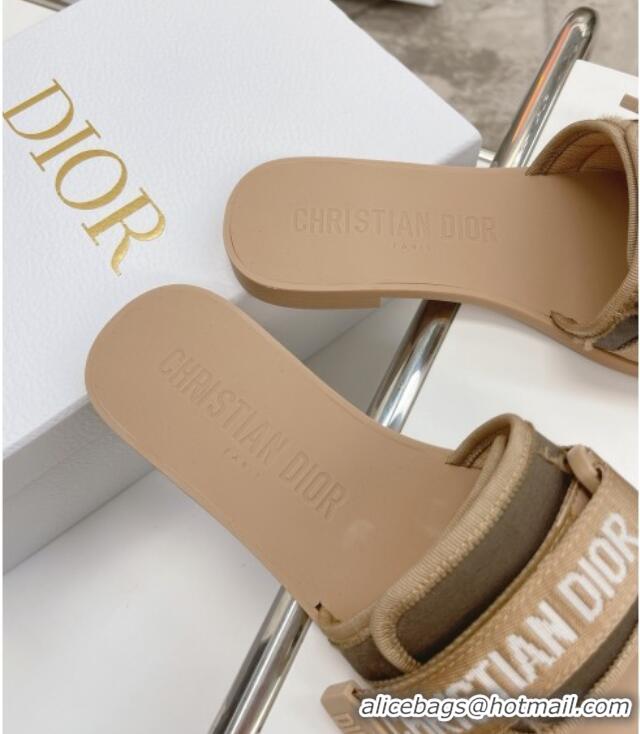 Best Luxury Dior Dio(r)evolution Flat Slide Sandals 050621 Beige