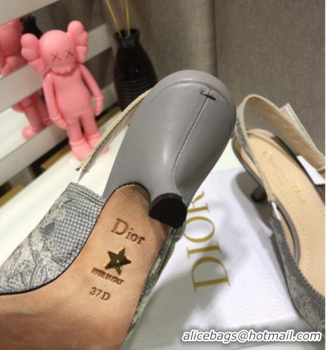 Good Quality Dior J'Adior Slingback Pumps 6.5cm in Grey Toile de Jouy Reverse Embroidered Cotton 061111