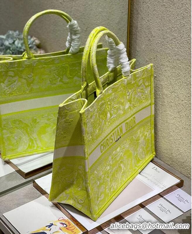 Famous Brand DIOR BOOK TOTE Lime Toile de Jouy Reverse Embroidery M1286ZR