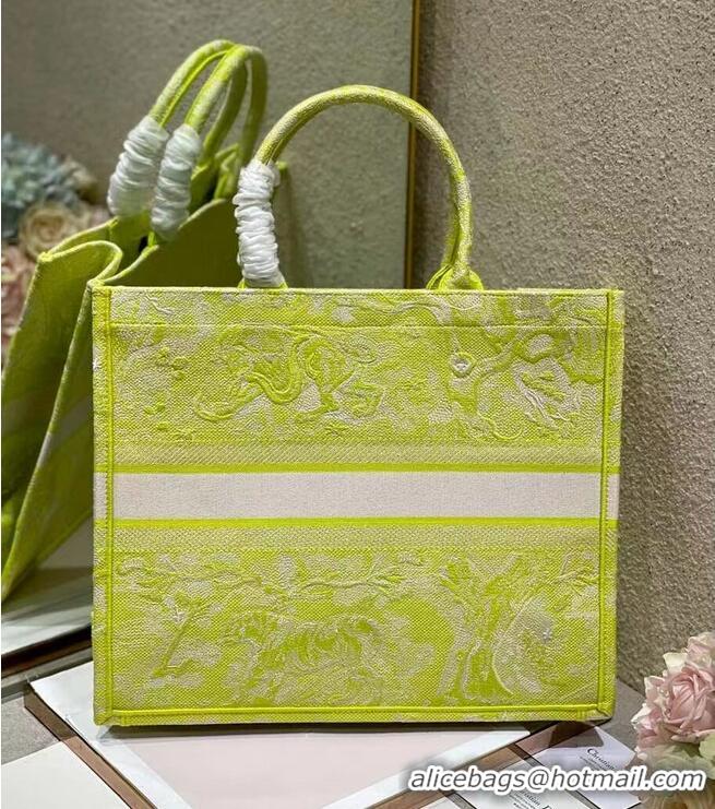 Famous Brand DIOR BOOK TOTE Lime Toile de Jouy Reverse Embroidery M1286ZR