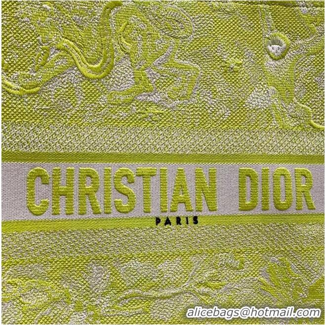 Famous Brand DIOR BOOK TOTE Lime Toile de Jouy Reverse Embroidery M1286ZR