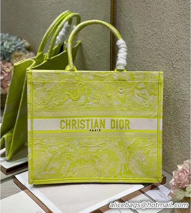 Famous Brand DIOR BOOK TOTE Lime Toile de Jouy Reverse Embroidery M1286ZR