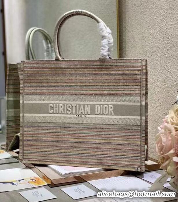 Well Crafted DIOR BOOK TOTE Multicolor Stripes Embroidery Reference M1286