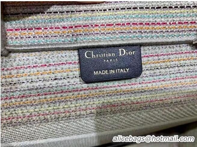 Well Crafted DIOR BOOK TOTE Multicolor Stripes Embroidery Reference M1286