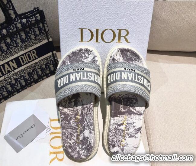 Low Price Dior Dway Slide Sandals in Grey Toile de Jouy Reverse Embroidered Cotton 061151