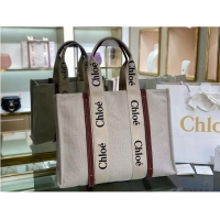 Good Product Chloe Cloth & leather 6C026 Brown