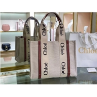 Top Quality Chloe Cloth & leather 6C027 Brown