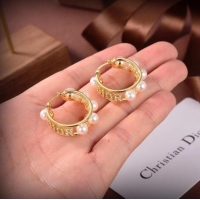 Reasonable Price Dior Earrings CE6503