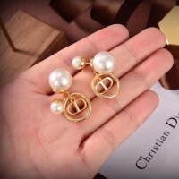 Best Product Dior Earrings CE6504