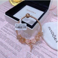 Affordable Price Pandora Bracelet CE6530