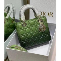 Well Crafted LADY DIOR MY ABCDIOR BAG green Gradient Cannage Lambskin M0538OS