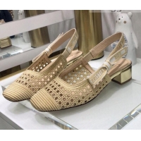 Charming Dior x Moi Slingback Pumps 3.5cm in Gold Cannage Embroidered Mesh 042721