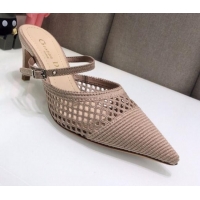 Popular Dior D-Choc Heel Mules in Nude Mesh Embroidery 042747