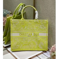 Famous Brand DIOR BOOK TOTE Lime Toile de Jouy Reverse Embroidery M1286ZR