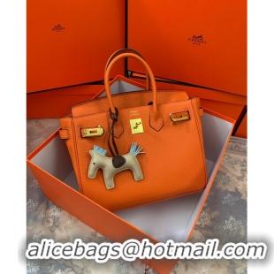 Buy Grade Hermes original Togo Leather HB35O Orange