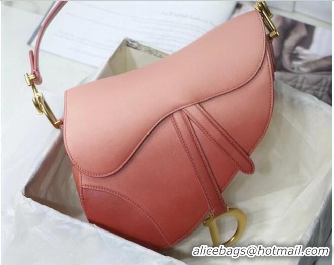 Top Design DIOR SADDLE BAG Gradient Calfskin M0446C Pink &Shoulder strap