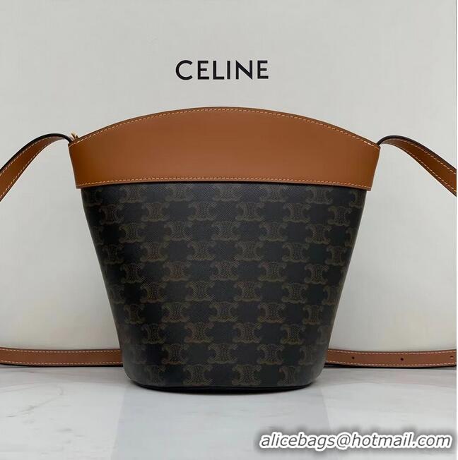 Super Quality Celine BUCKET BAG IN SHINY CALFSKIN CR92072 Coffee