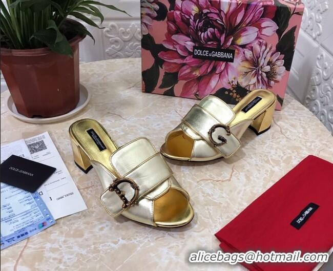 Good Quality Dolce&Gabbana DG Heel Mules 6.5cm 010935 Gold