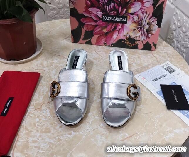 Best Product Dolce&Gabbana DG Heel Mules 6.5cm 010937 Silver 2021