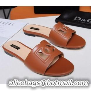 Good Looking Dolce&Gabbana Cutout DG Calfskin Flat Slide Sandals 012506 Brown 2021