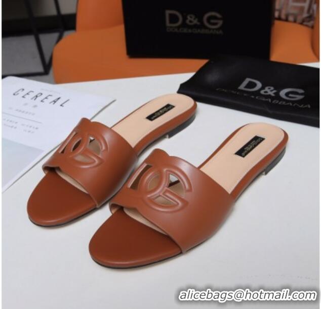 Good Looking Dolce&Gabbana Cutout DG Calfskin Flat Slide Sandals 012506 Brown 2021